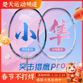 VICTOR威克多羽毛球拍单拍 碳纤维进攻型升级TK-HAWK PRO小隼猎鹰PRO球拍