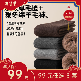 【年货节99元任选3件】超级厚暖冬羊毛袜（3双）