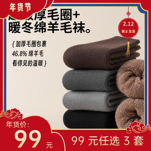 【年货节99元任选3件】超级厚暖冬羊毛袜（3双） 商品图0