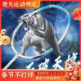 VICTOR威克多羽毛球拍TK-L/TKL超轻进攻拍6U【特卖】