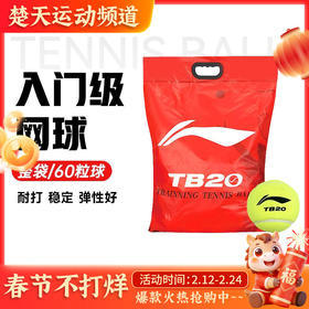 李宁网球高回弹力成人练习训练球耐磨比赛用球网球TB20网球 TB07