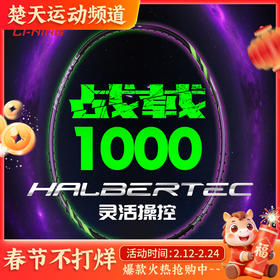李宁战戟1000控制型初级入门拍龙吟紫羽毛球拍
