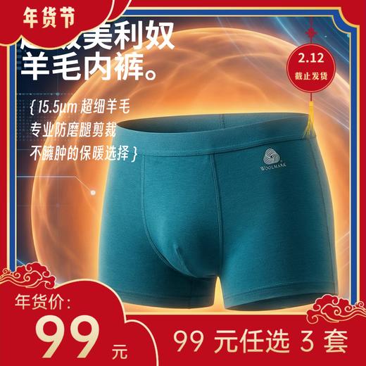 9 号停发【年货节99元任选3件】15.5 微米美利奴羊毛内裤 商品图0