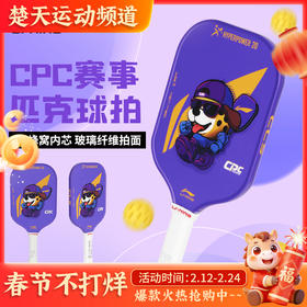 李宁匹克球拍入门级训练壁球拍ACPW007力量型匹克球拍