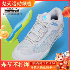 VICTOR威克多羽毛球鞋软弹缓震舒适比赛训练透气轻量羽球鞋VG2ACE