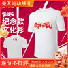 李宁苏迪曼杯纪念款文化衫AHSVE25-2 羽毛球服短袖男女同款羽毛球服 商品缩略图0