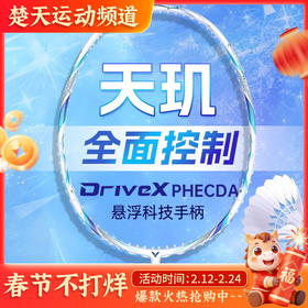 威克多VICTOR羽毛球拍全碳素碳纤维全面均衡单拍驭DX-PHECDA天玑