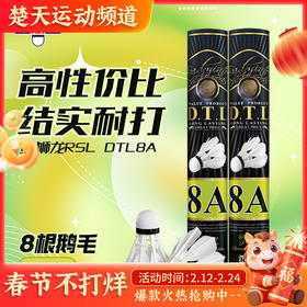 亚狮龙RSL羽毛球结实耐打DTL-8A鹅毛球训练用球