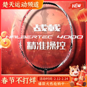 李宁战戟系列战戟4000羽毛球拍全碳素中端控制羽毛球拍