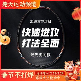 李宁凯胜羽毛球拍FYPE026中端进阶拍黑色咖啡色羽毛球拍