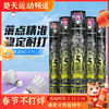 亚狮龙RSL5号球羽毛球NO.5 PLUS飞行稳定比赛用球俱乐部羽毛球 商品缩略图0