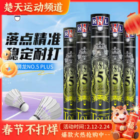 亚狮龙RSL5号球羽毛球NO.5 PLUS飞行稳定比赛用球俱乐部羽毛球