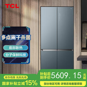 TCL528升十字双开门风冷冰箱 薄嵌系列 一级能效变频 底部散热 0缝隙嵌入 分子保鲜科技 R528P12-UQ
