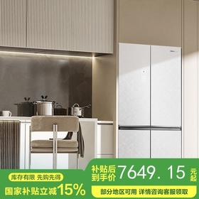 容声（Ronshen）双净pro·平嵌506升十字对开四开门超薄嵌入式电冰箱家用一级变频大容量BCD-506WKK1FPGZA皎月印