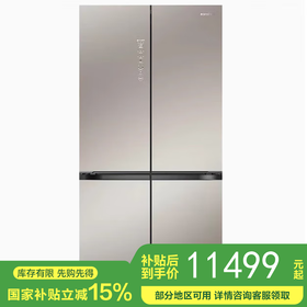 容声（Ronshen）WILL养鲜平嵌560升十字对开四开门超薄嵌入式电冰箱家用一级变频BCD-560WKK1FPGZA琥珀钰商场同款