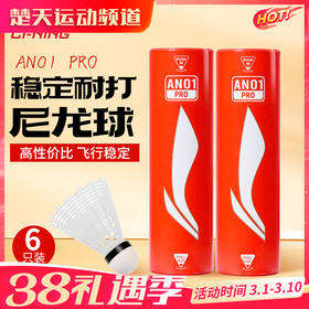 李宁羽毛球耐打防风尼龙球AN01 PRO训练室内羽毛球6只装