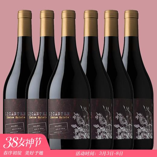 【整箱】年度醉佳马尔贝克！智利一级庄！金丝马尔贝克干红 La Ronciere Malbec 2019 商品图0