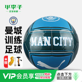 小李子PUMA彪马曼城文化机缝5号训练足球成人男084976 13