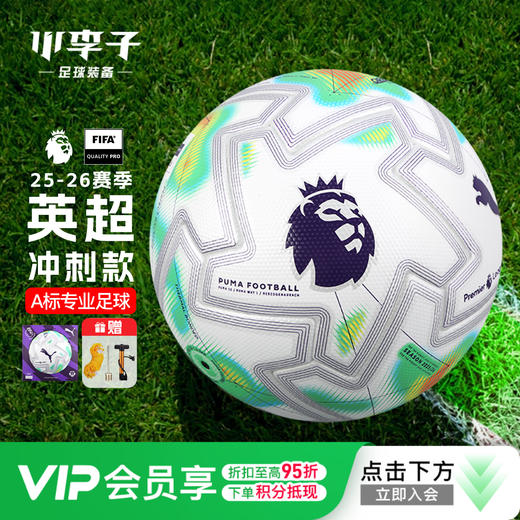 小李子彪马25-26英超联赛冲刺款5号热粘合A标比赛足球084895 01 商品图0