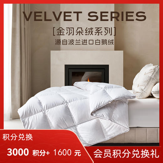 【顺丰包邮】多喜爱 金羽朵95进口白鹅绒冬被酥白 【波兰进口白鹅绒】【95%绒子含量】【1000+清洁度】【80支全棉面料】【3D航空舱设计】【高档皮包】三重锁绒工艺  A类品质标准 10cm检测口 商品图0