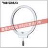 YN308LED环形手自拍双色温摄影灯主播补光灯美颜化妆摄像灯 商品缩略图0