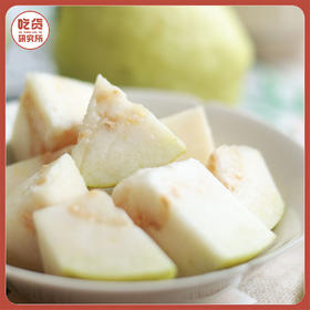 【奶油丝滑 清香软糯】福建奶油芭乐/红心芭乐 4.5斤礼盒装（8-13个左右）