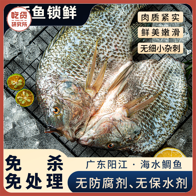 【一条主骨 不卡喉】【配料表干净 活杀速冻锁鲜 低脂高蛋白】鱼宗师 广东阳江·海水鲷鱼 天然咸淡水交汇 无腥