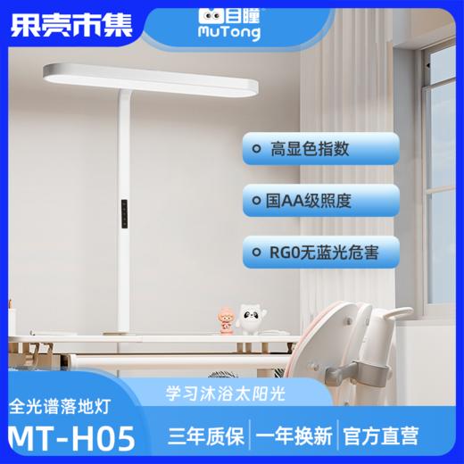 【清仓特价落地灯】目瞳·小路灯护眼落地灯MT-H05 7500lm (办公|书房|阅读|家庭用） 商品图0