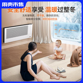 【H1低于官方双11】Bestherm百斯腾  火炬系列双制热双散热抑菌全屋主供暖电暖器H1