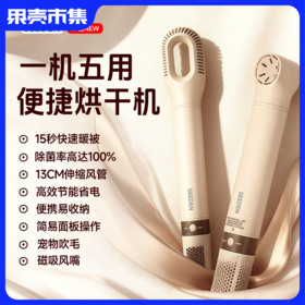 额外得2个烘衣袋【1机5用，暖被烘鞋干衣除螨吹风机】西点多功能便携烘干棒（含2个磁吸风嘴+2烘干袋，可收缩）