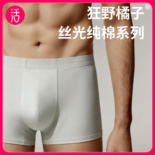 狂野橘子 男士丝光棉内裤 商品图0