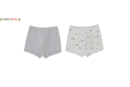 特惠-拉比0-25内衣类i5莫代尔男童内裤(四角2条装）LYEA101025 商品图1