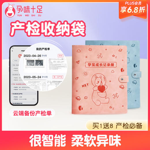 【品牌自营】孕检收纳册报告单孕妈妈孕妇b超建档手册本产检包资料记录收纳袋 商品图0