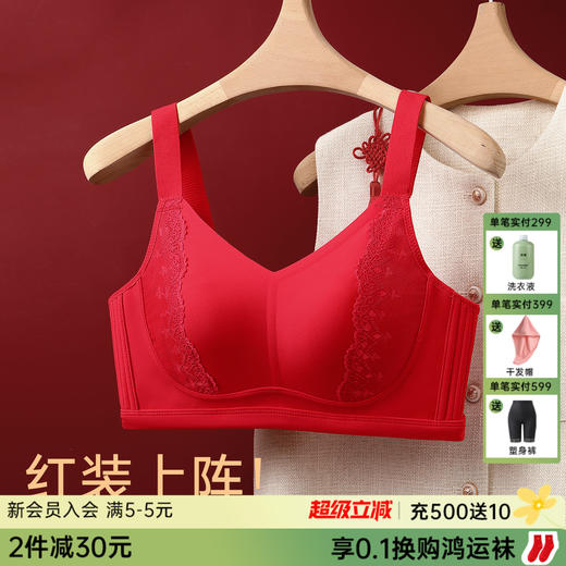 D1-【B-D杯】【提拉防下垂 大胸显小】显瘦调整型收副乳聚拢内衣女薄款文胸罩   凌云/乌龙/映雪/星梦/仙庭【1分钱换购红袜子不需要加购物车，提交付款界面会显示】 商品图0