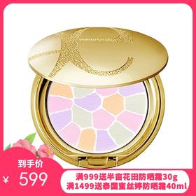 ELEGANCE/雅莉格丝 欢颜蜜粉饼E大饼 便携装8.8g【香港直邮】