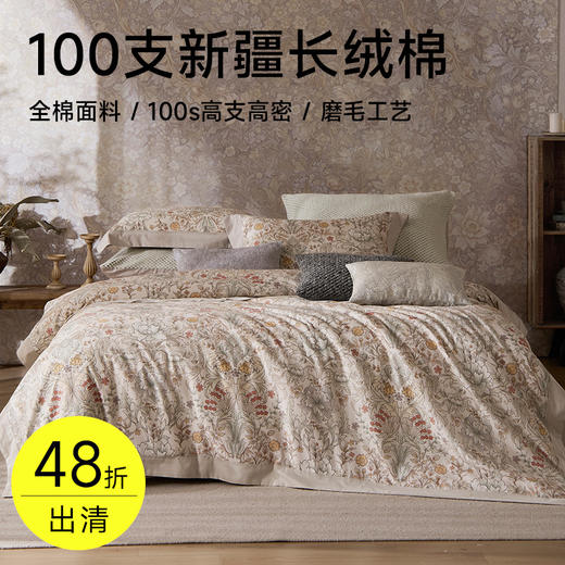 臻品100支磨毛四件套(威尼克斯) 商品图0