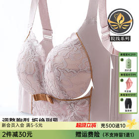 D4-【B-E杯】【院线全罩薄杯】大胸显小全罩杯透气孔无钢圈调整型文胸  绮丽晨曦/丰姿媚丽