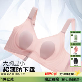 【85B-90E杯】润微兔耳朵 薄款防下垂收副乳聚拢大码文胸 小樱桃