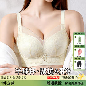 A2-【A-B杯】【小胸显大 聚拢升杯】聚拢防下垂收副乳上托调整型内衣女士文胸   馥郁玫瑰