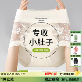 N2-【蕾丝高腰轻收腹】3条10A抑菌无痕不夹臀女士内裤提臀轻塑裤女  笔韵生香