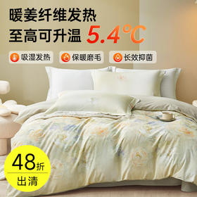 暖姜绒抗菌磨毛四件套(摩尔庄园)