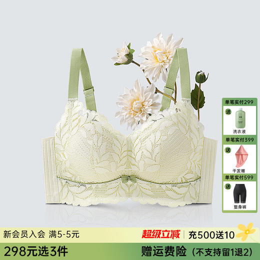 【298选3件】D2-💟【B-E杯】【侧翼网纱透气】【大胸显小】润微无钢圈防下垂收副乳文胸胸罩   薄荷小姐 商品图0