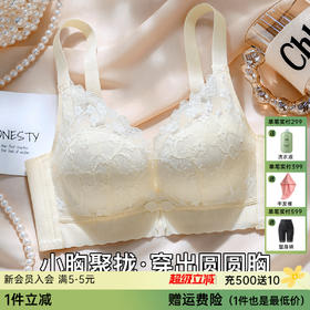 A2-【A-B杯】【小胸聚拢显大】穿出圆润胸型内衣女聚拢防下垂收副乳调整型文胸  清漪婉柔
