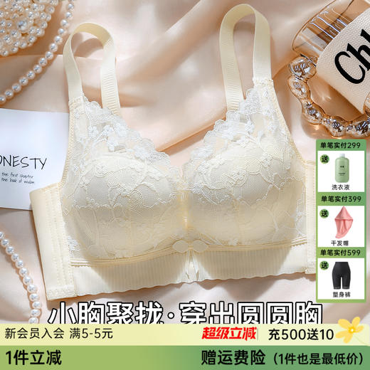 A2-【A-B杯】【小胸聚拢显大】穿出圆润胸型内衣女聚拢防下垂收副乳调整型文胸  清漪婉柔 商品图0