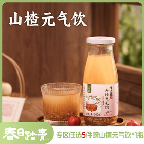 谦益山楂元气饮300g 温和解腻开胃 唤醒味蕾  聚会、休闲 下午茶优选（冷藏口感更佳 ）