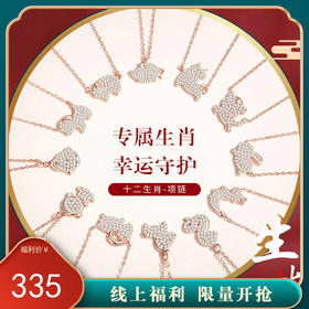 【十二生肖】S925银满钻本命年生肖项链【JHY-N000582M】