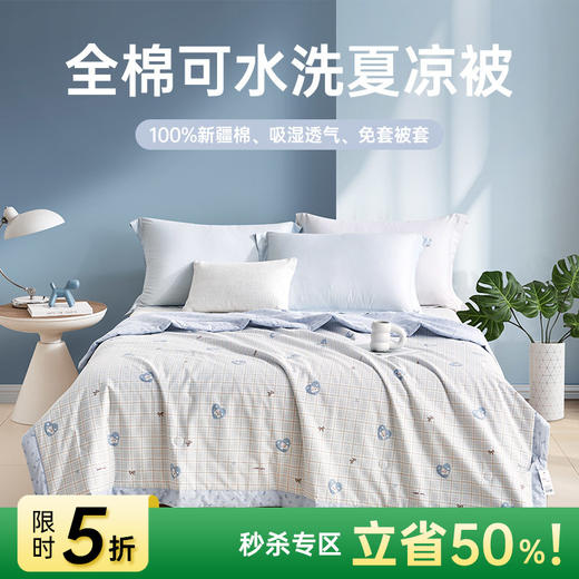 全棉印花夏被(幸运小马) 商品图0