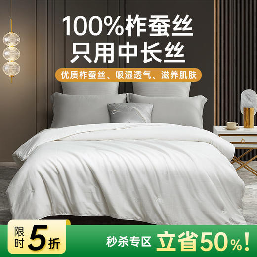 60支大提花悦享蚕丝被 商品图0