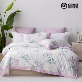 多喜爱 全棉新疆棉斜纹三/四件套 璎珞