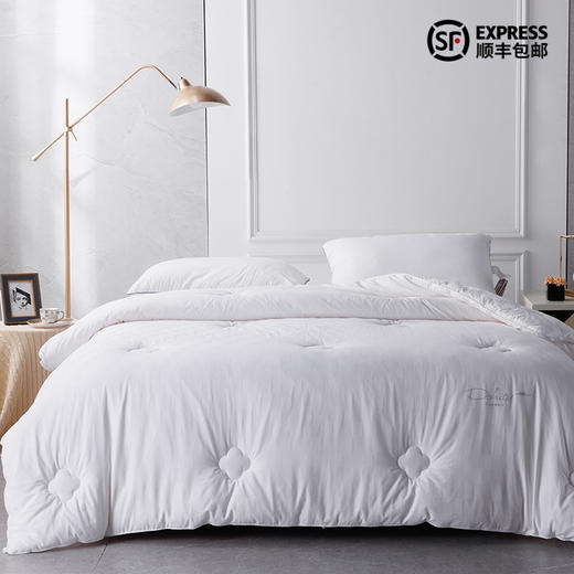 多喜爱 倾颜蚕丝大豆加厚冬被cs 商品图0